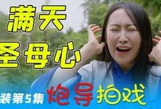 火影爆料视频配音是谁,揭秘配音演员背后的故事